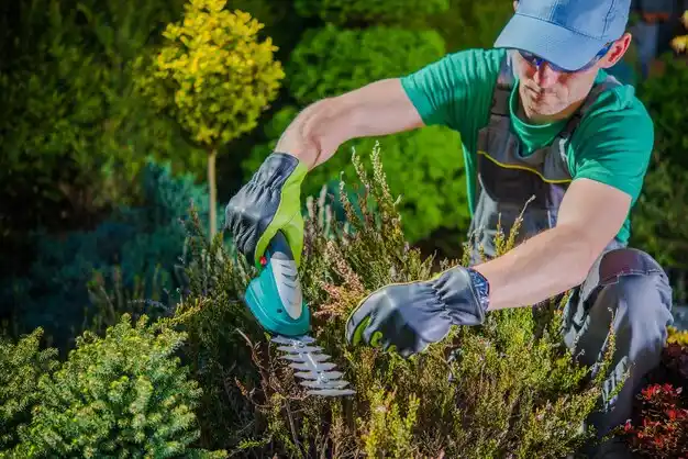 landscaping services Morton
